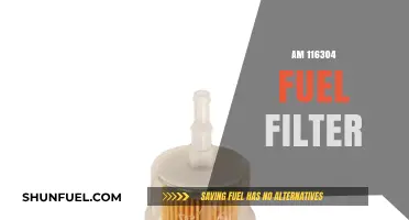 Fuel Filter Maintenance: AM 116304 Essentials
