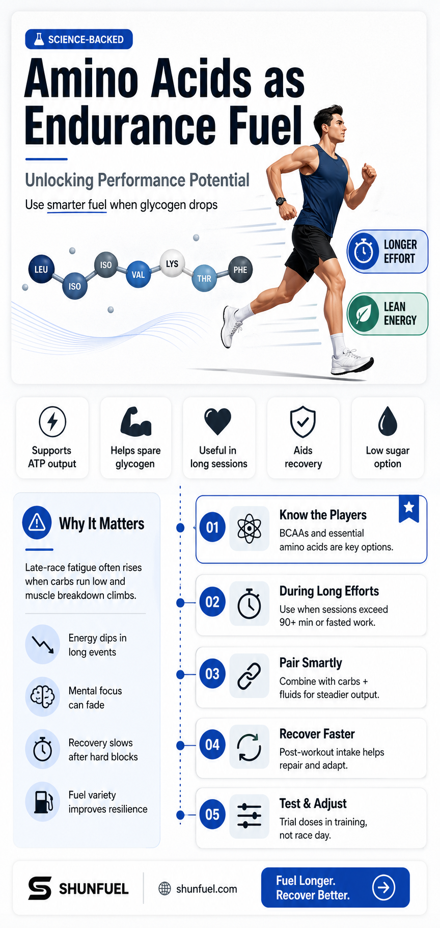 are amino acids used as fuel endurance