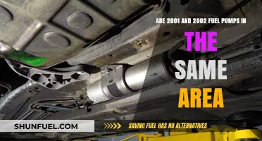 Fuel Pump Locations: Comparing 2001 and 2002 Models' Placement