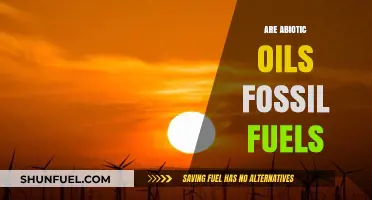 Abiotic Oils: Fossil Fuel Alternative?