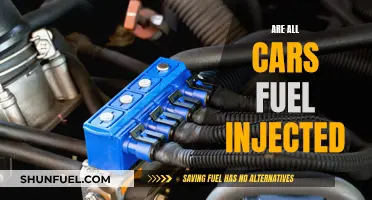 Fuel Injection: The Universal Car Engine Standard?