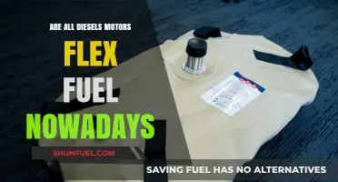 The Evolution of Diesel: Flex Fuel Standard?