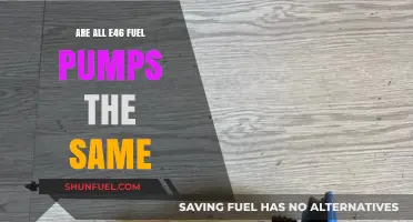 Are All E46 Fuel Pumps Interchangeable? A Comprehensive Guide