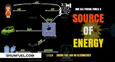 Fossil Fuels: Energy Sources or Environmental Disaster?
