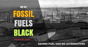 Fossil Fuels: Black or Not?