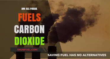 Fossil Fuels: Carbon Dioxide's Evil Cousins