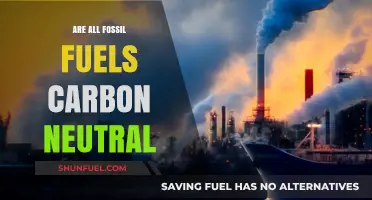 Fossil Fuels: Carbon Neutral or Climate Disaster?