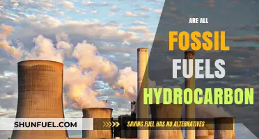 Fossil Fuels: Hydrocarbons or Not?