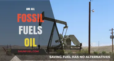 Fossil Fuels: Oil's Diverse Family