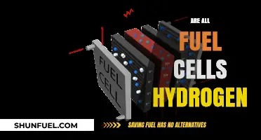 Are All Fuel Cells Hydrogen-Based? Exploring the Facts and Myths