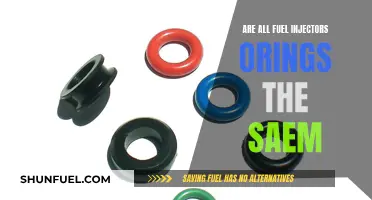 Fuel Injector O-Rings: Are They Universal?