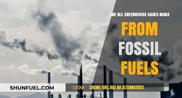 Fossil Fuels and Their Greenhouse Gas Emissions