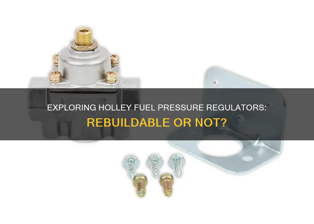 are all holley fuel pressure regulators rebuildable