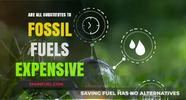 Fossil Fuel Alternatives: Costly or Affordable?