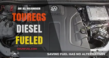 The Touareg's Fuel: Diesel-Only or Not?