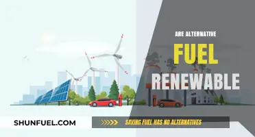 Exploring Alternative Fuels: Are They Truly Renewable Energy Sources?