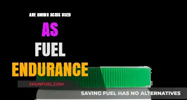 Amino Acids as Endurance Fuel: Unlocking Performance Potential