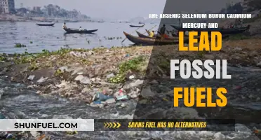 Fossil Fuels: Arsenic, Selenium, and More?