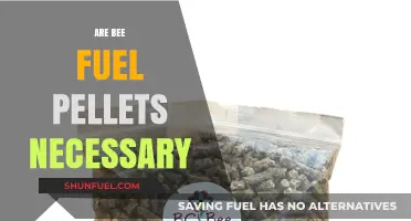 Are Bee Fuel Pellets Essential for Healthy Hive Management?