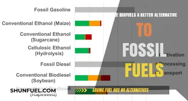 Biofuels: A Sustainable Alternative to Fossil Fuels?