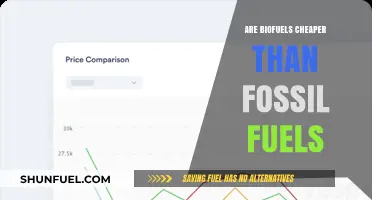 Biofuels: Cheaper Alternative to Fossil Fuels?