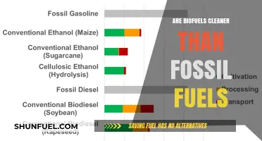 Biofuels: Cleaner Energy Alternative to Fossil Fuels?