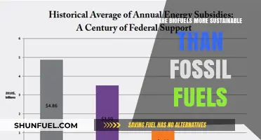 Biofuels: A Sustainable Alternative to Fossil Fuels?