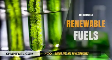 Biofuels: Are They Truly Renewable Energy Sources?