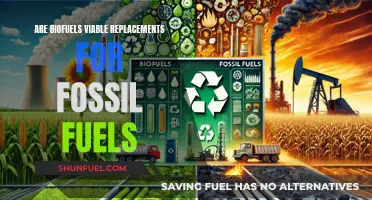 Biofuels: Sustainable Fossil Fuel Alternatives?