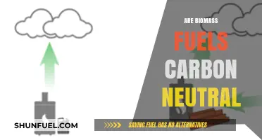 Are Biomass Fuels Truly Carbon Neutral? Exploring the Environmental Impact