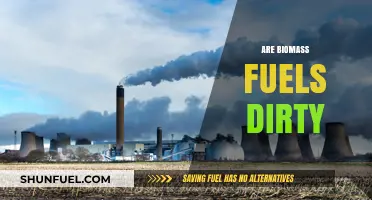 Are Biomass Fuels Dirty? Uncovering the Environmental Truth
