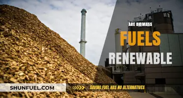 Biomass Fuels: Sustainable Energy Source or Renewable Myth?