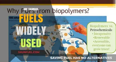 Biomass Fuels: Global Usage, Sustainability, and Future Potential Explored