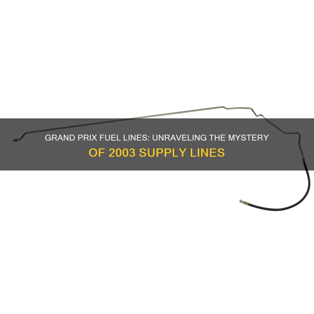 are bith fuel lines on 2003 grand prix supply lines