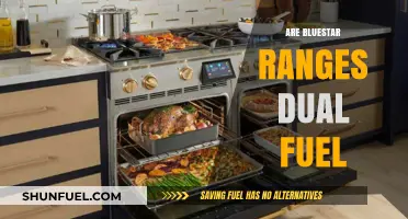 Are Bluestar Ranges Dual Fuel? Exploring Cooking Flexibility and Performance