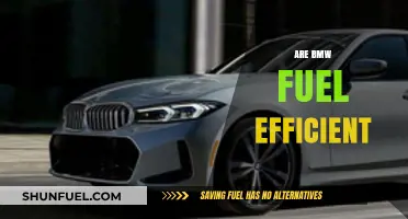 Are BMWs Fuel Efficient? Exploring Performance and Mileage Trade-offs
