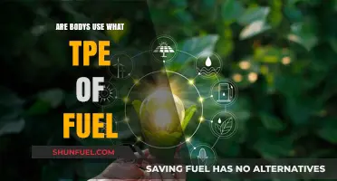 What Fuel Powers Our Bodies? Unlocking Human Energy Sources