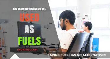 Branched Hydrocarbons: Their Role and Efficiency as Modern Fuel Sources