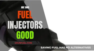BWD Fuel Injectors: Are They Worth the Hype?