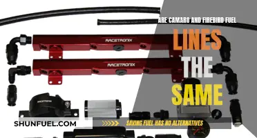 Fuel Line Compatibility Between Camaros and Firebirds