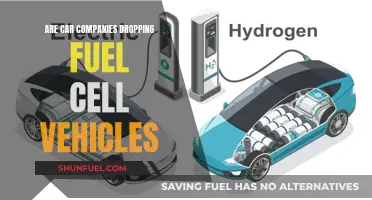 The Decline of Fuel Cell Cars: A Shift in Automotive Focus