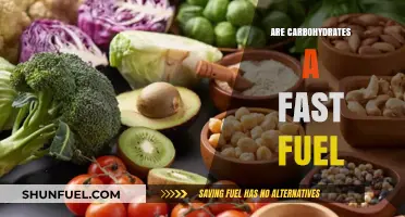 Carbohydrates as Quick Energy: Fact or Fiction? Unraveling the Fast Fuel Debate