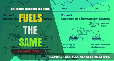 Carbon Emissions vs Fossil Fuels: What's the Difference?