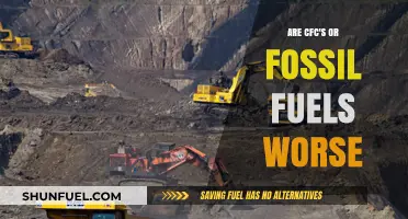 CFCs vs Fossil Fuels: Which is the Greater Evil?