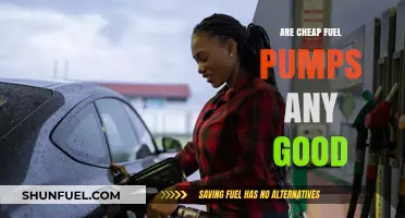 Are Budget Fuel Pumps Reliable? Pros, Cons, and Performance Insights