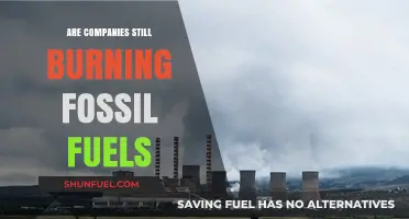 The Dark Truth: Fossil Fuels Still Power Our World