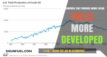 Fossil Fuels and Development: A Country's Paradox