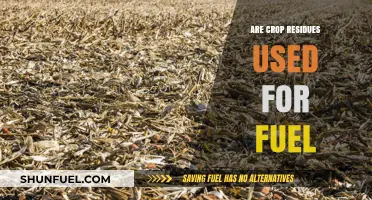 Crop Residues as Fuel: Sustainable Energy Source or Agricultural Waste?
