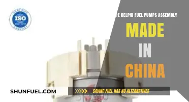 Delphi Fuel Pumps Assembly: Are They Made in China?