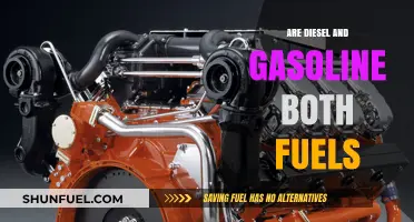 Diesel and Gasoline: What Fuels Our Cars?